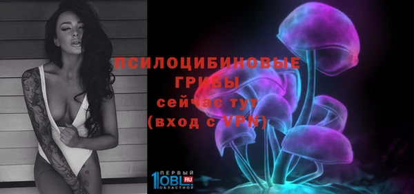 jwh Аркадак