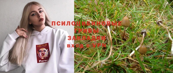spice Арсеньев