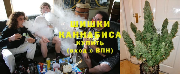 spice Арсеньев