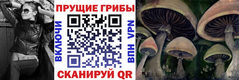 kraken рабочий сайт  Нижнеудинск  Псилоцибиновые грибы Psilocybe 